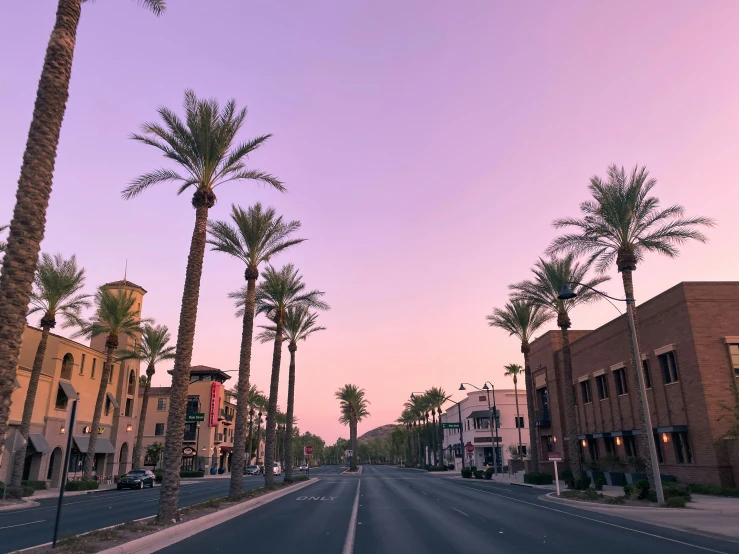 a street filled with palm trees and buildings