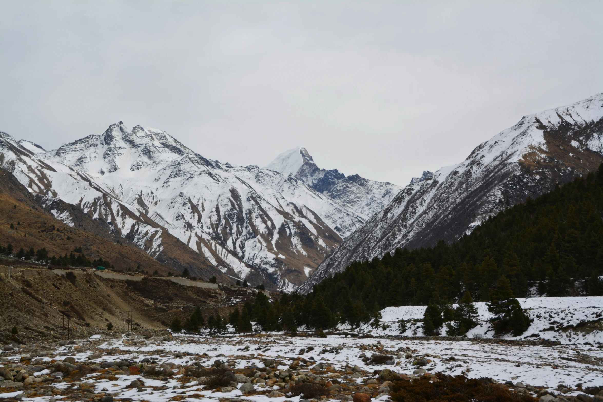 a bunch of mountains with snow covered grass