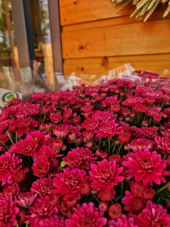 red flowers are in the front of a store display