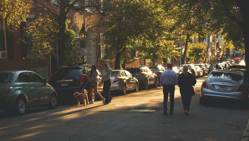 a couple of people walking a dog on a sidewalk