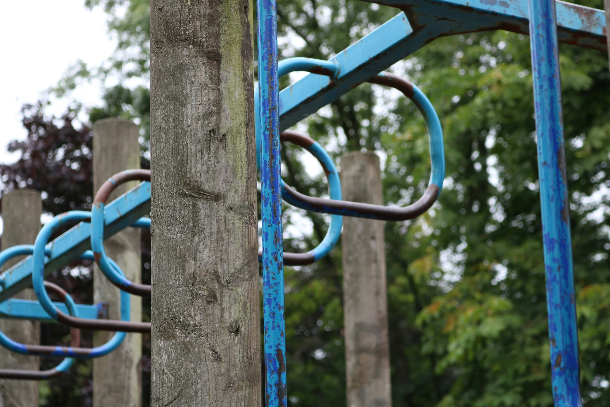 a metal playground structure in the woods