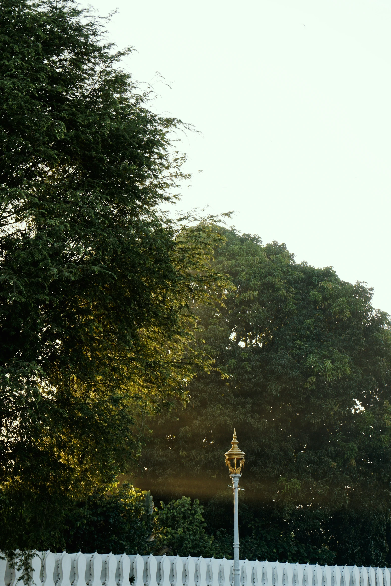 a street light on an outdoor paved area