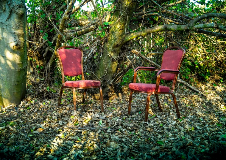 two old and rusty chairs are in the forest