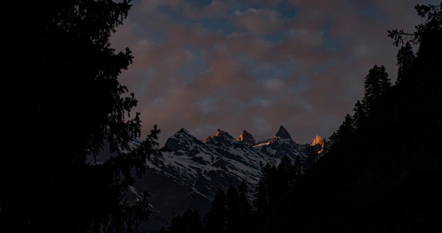 a full moon is set over some trees