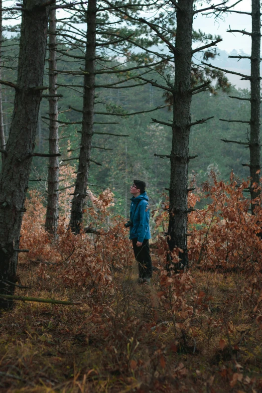 a person standing in the middle of some trees