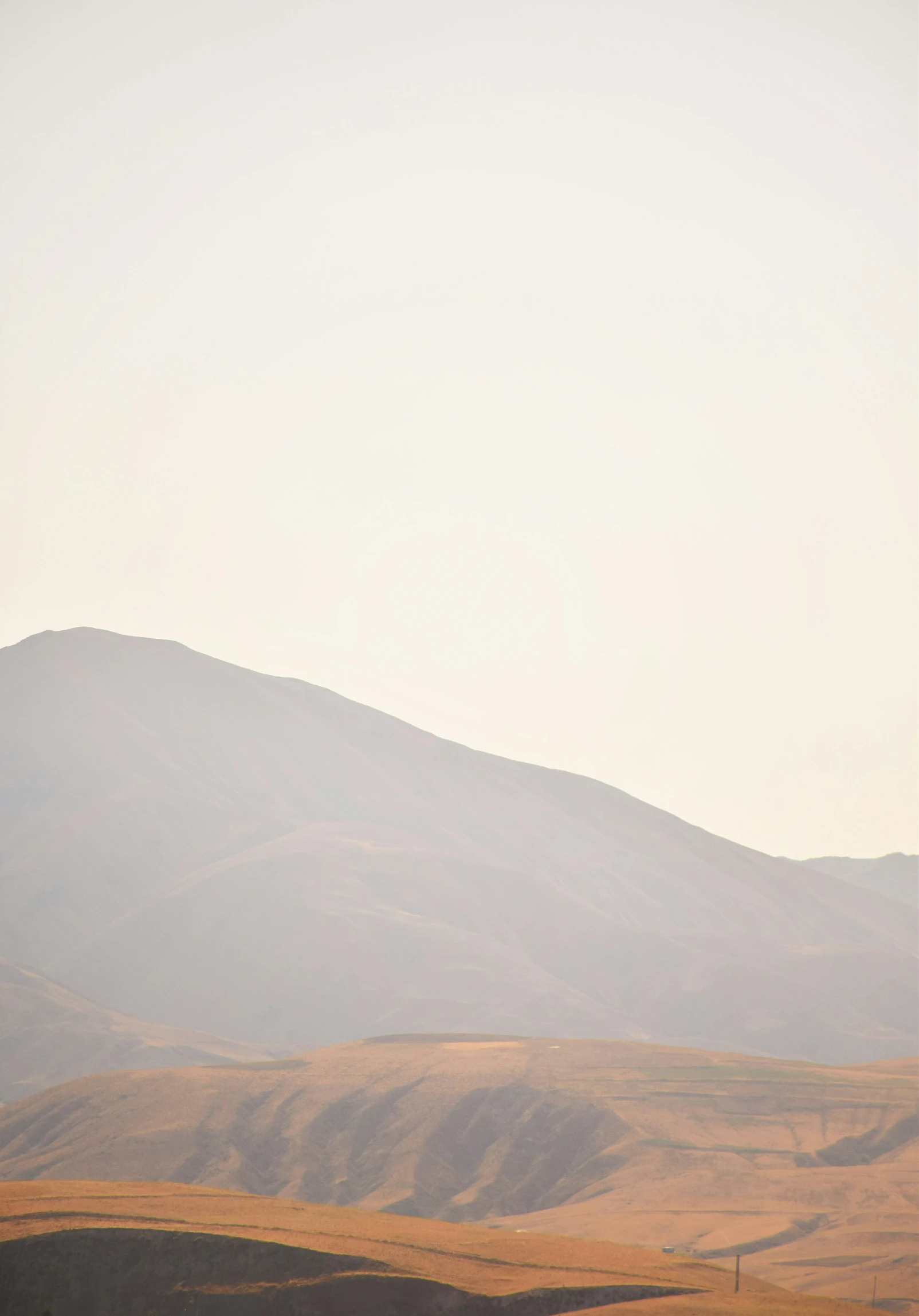 sheep graze in a wide open field beneath a mountain