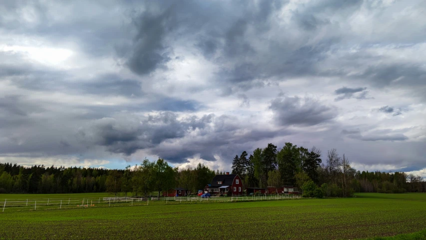 a large field with a tree line and a cloudy sky in the distance