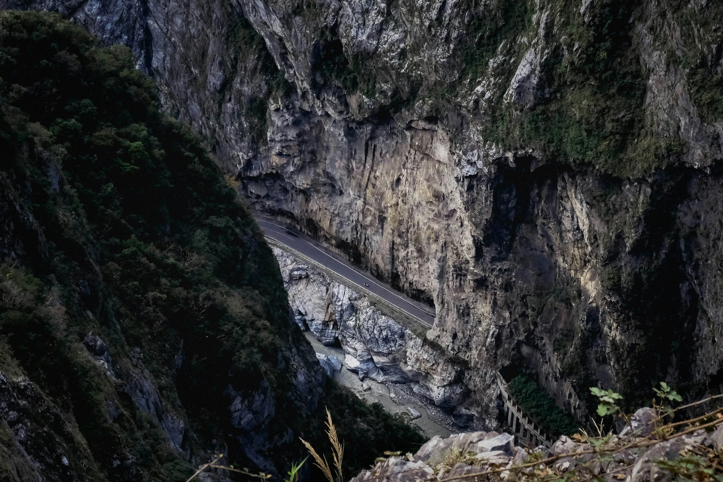 a very tall mountain side with trees growing next to it