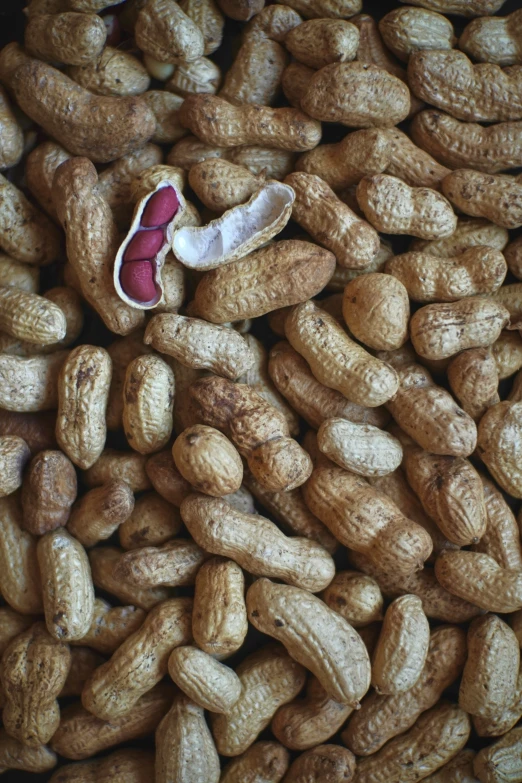 peanut shelled peanuts with a tiny red sneaker