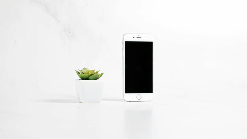 white phone and a plant on table