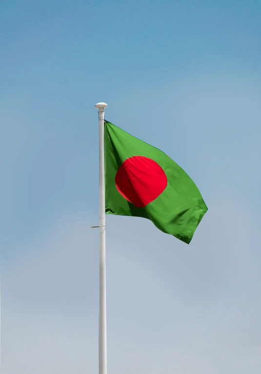 a small green and red flag flies on a pole