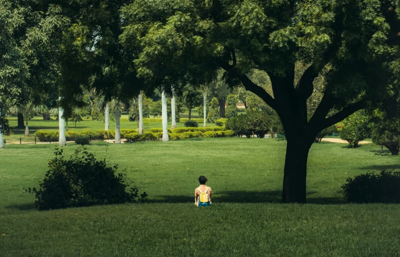 there is a small child sitting under a tree