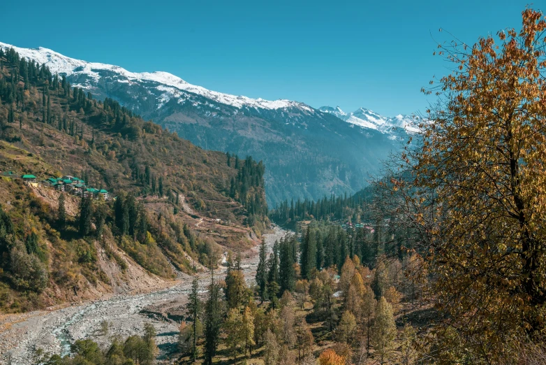 mountain side with a river and trees with snowy peaks in the background