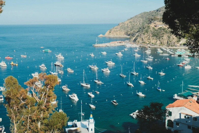 a bunch of boats floating on the ocean