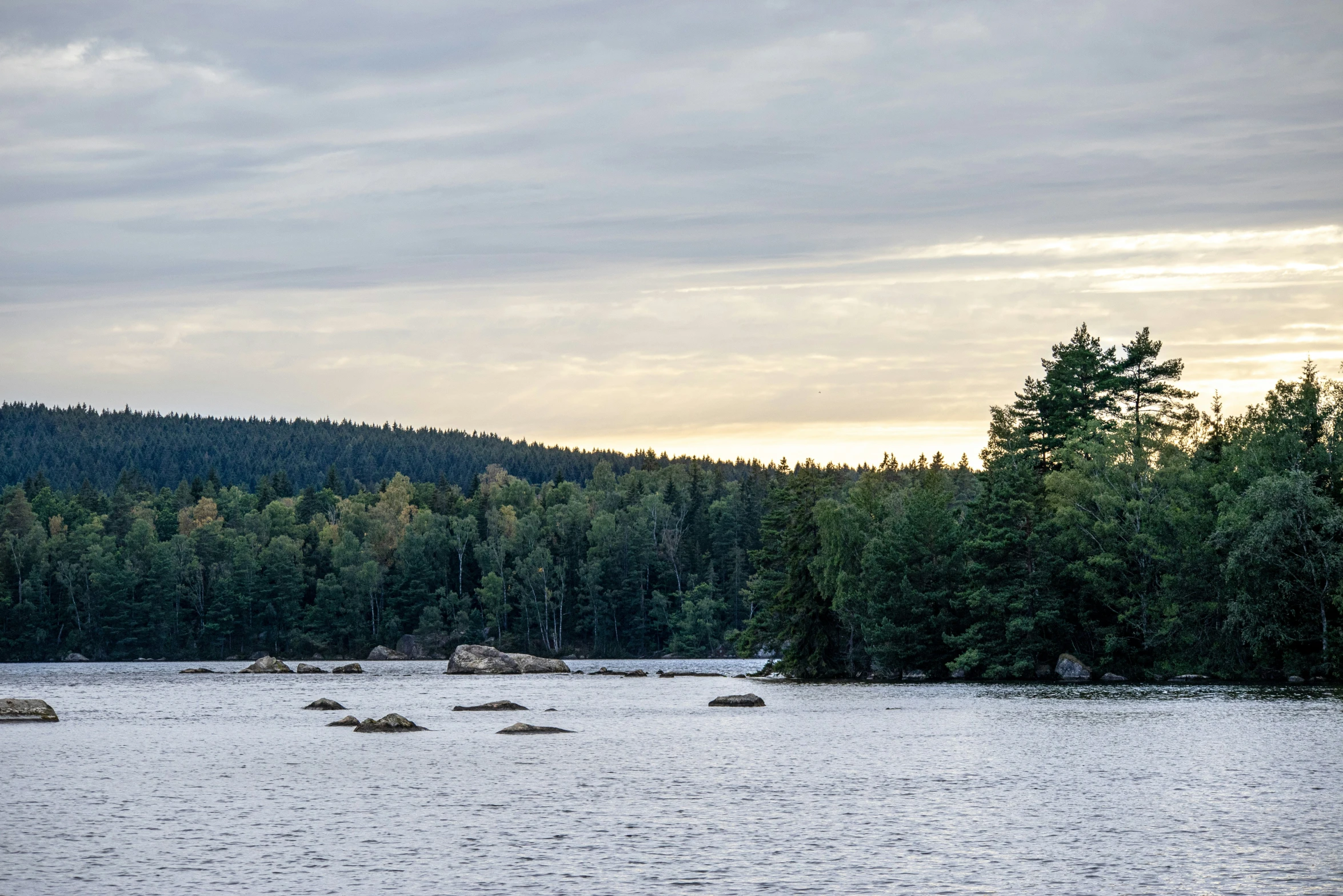 a body of water near some trees with a sky background