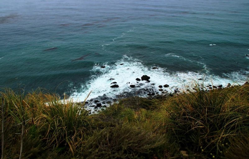 the view looking down over the water and rocks from atop a hill