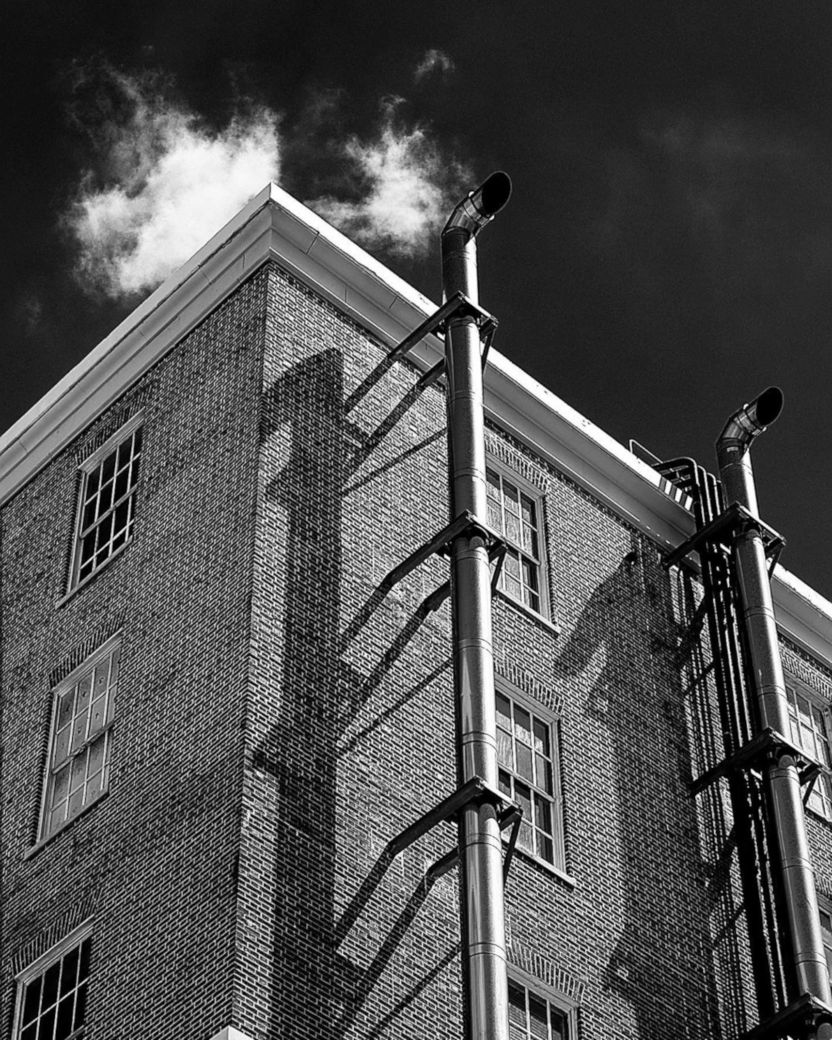 the building is made from a mesh fence