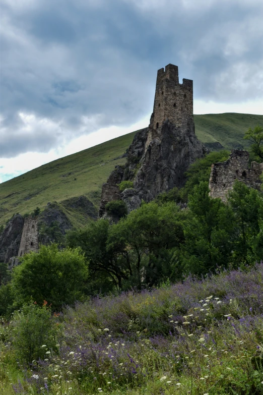 a very tall tower next to some trees and flowers