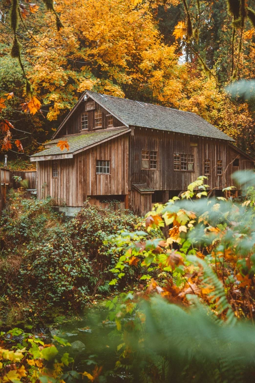 a wooden building sitting on the side of a forest