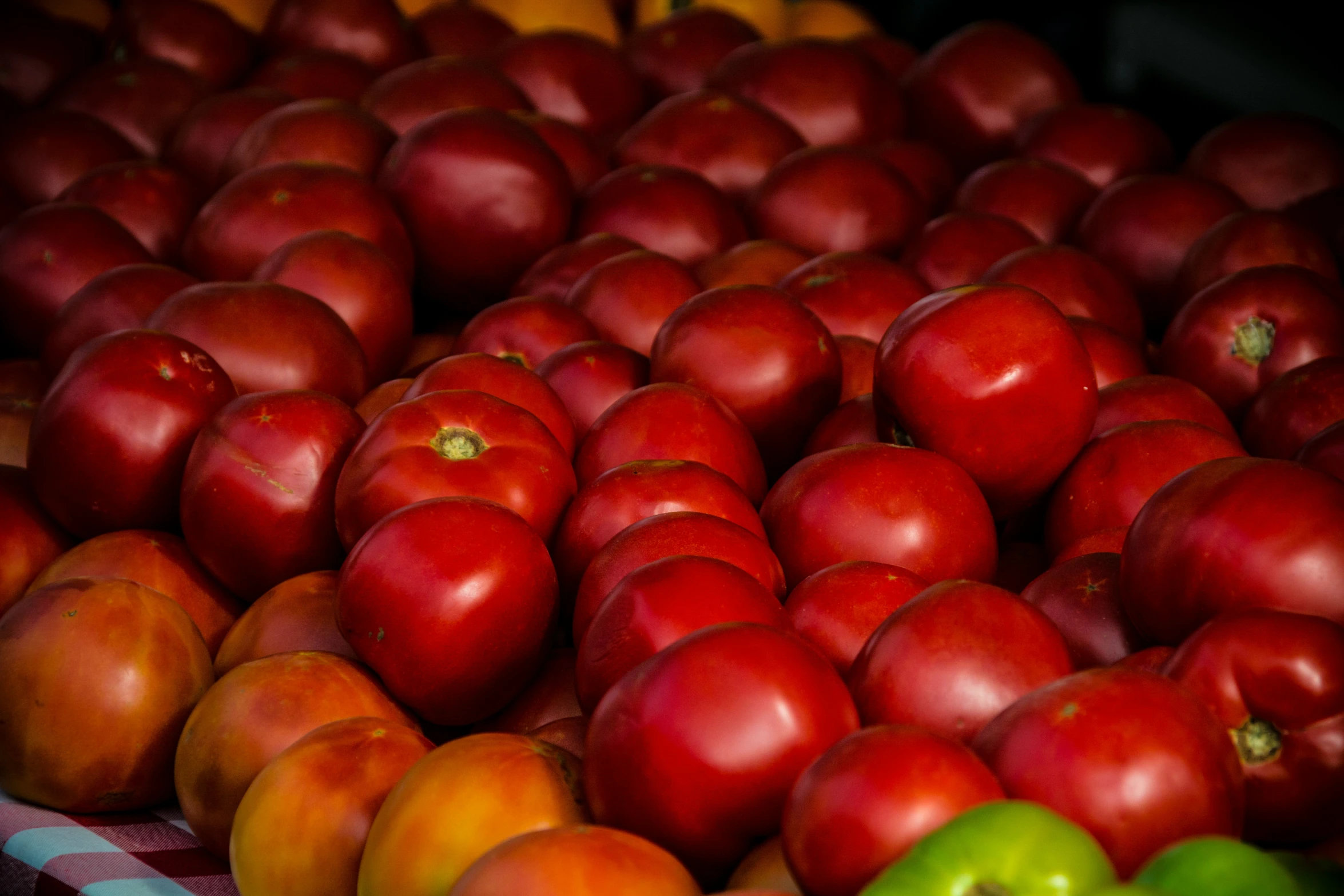 there are many different types of fruits in the picture