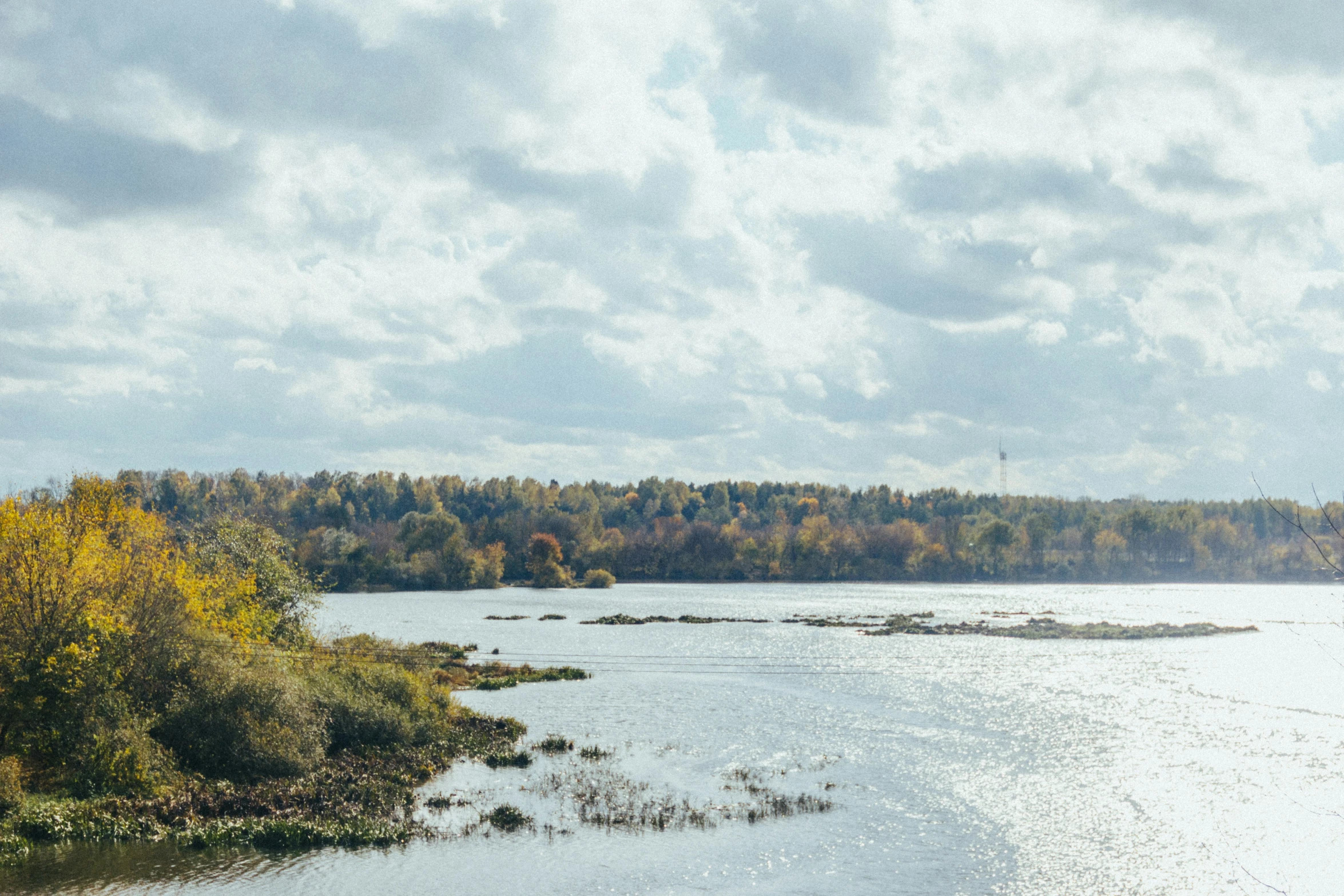 the shoreline at an open lake surrounded by wooded areas