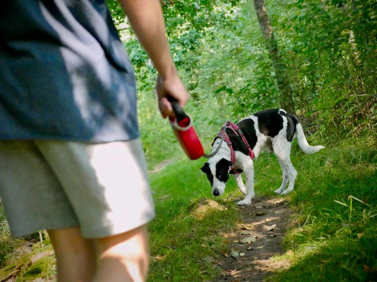 a man walking down a dirt path with a dog