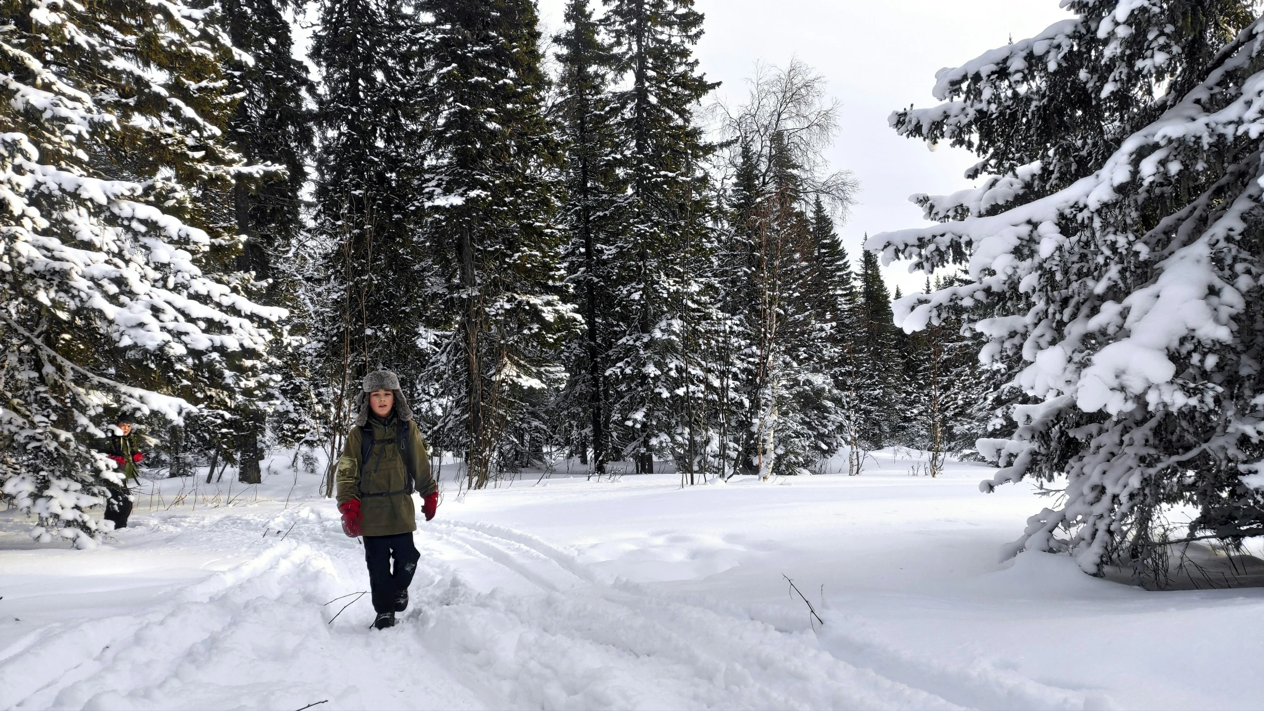 a person is walking through the snow in front of trees