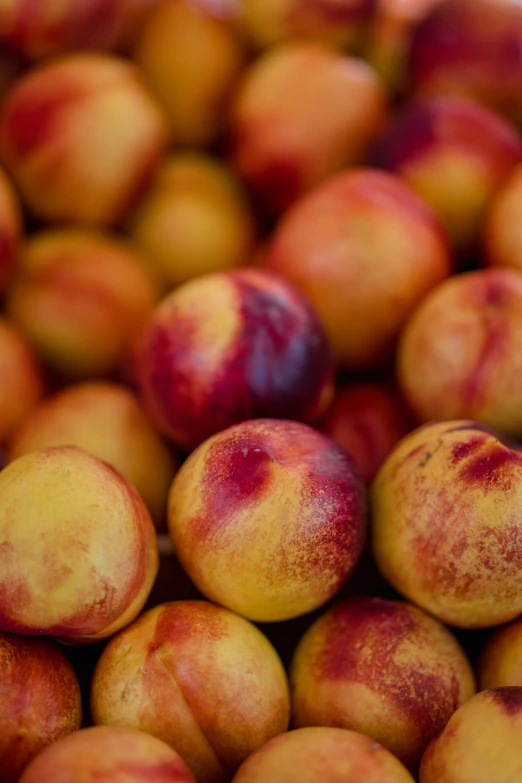 a close up picture of several peaches piled high