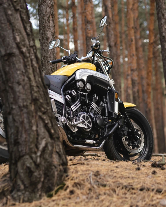 the motorcycle is parked in the middle of the woods