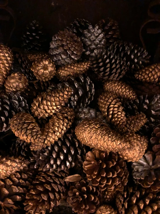 several small pine cones piled together