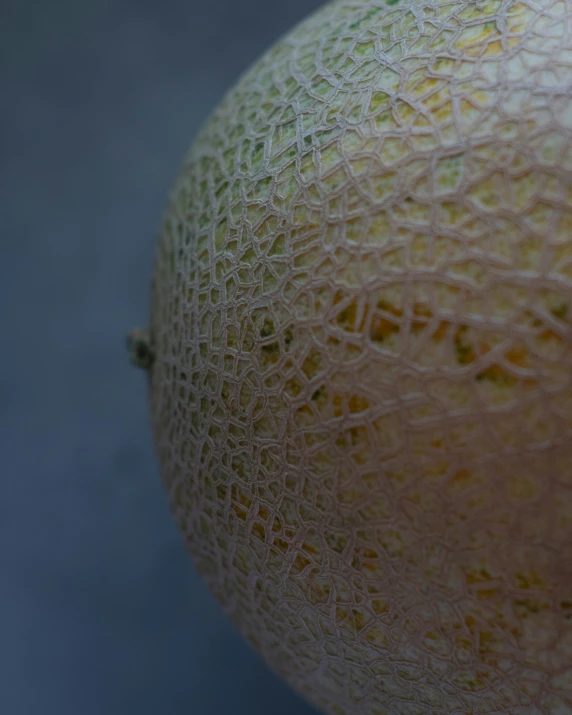 an image of close up on a fruit