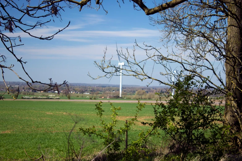 a tall white pole is in the distance from some trees