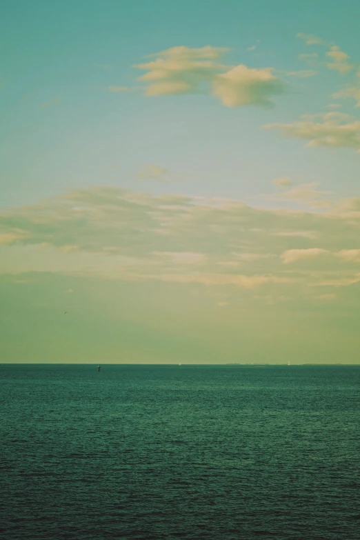 an image of seagull flying over water