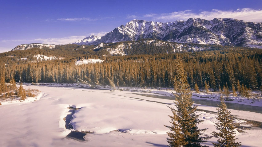 trees are in the snow, near a mountain