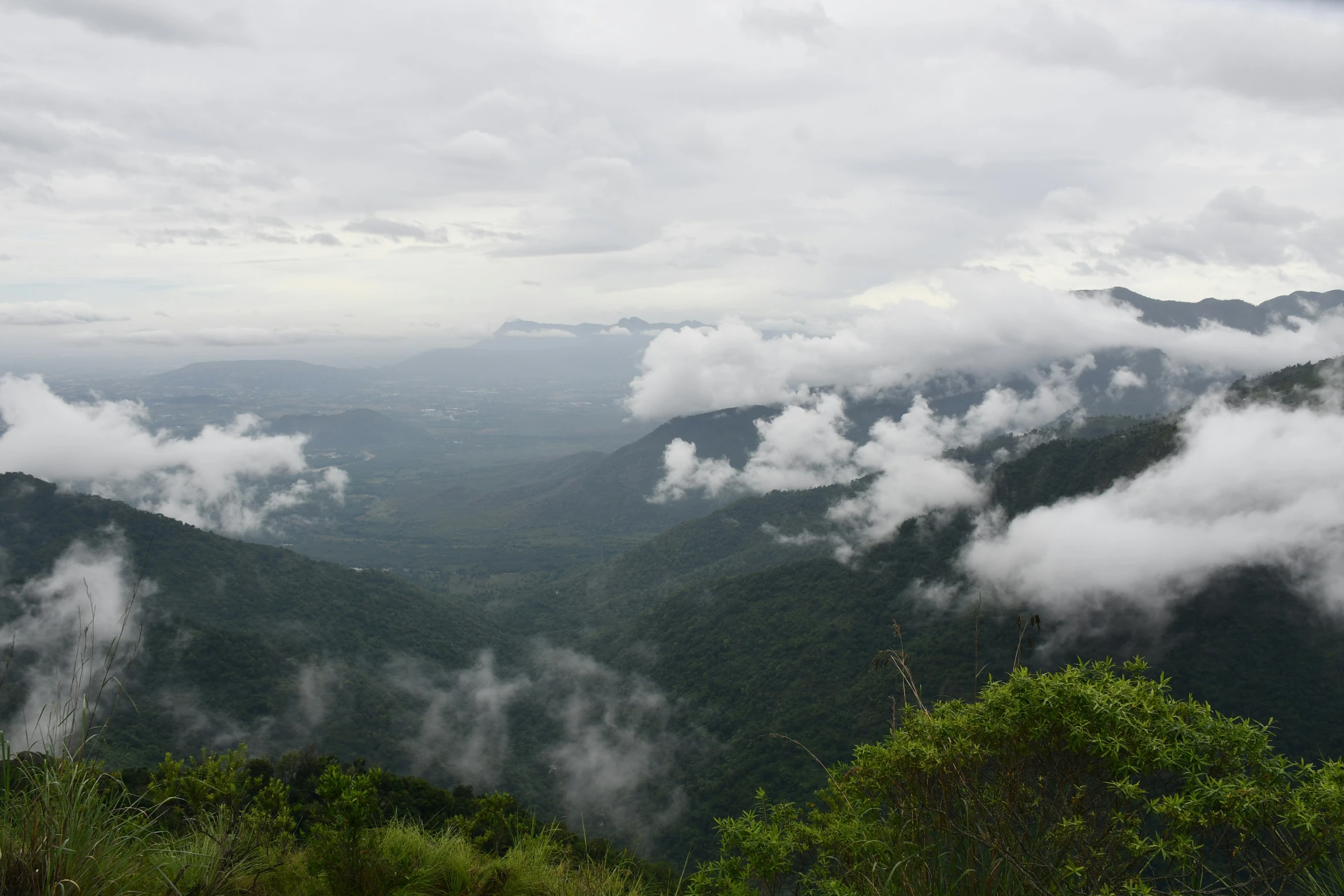 clouds fill the valleys and mountains of a forested area