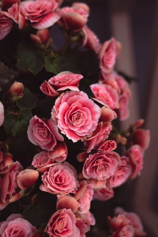 a bouquet of pink flowers sitting on top of a table