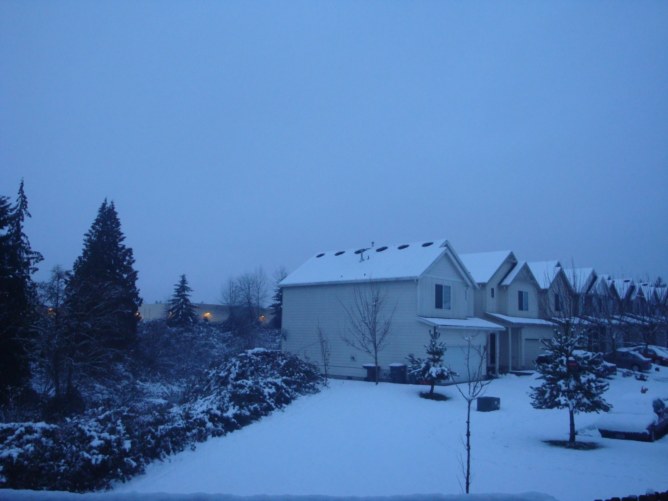 a small white house with trees and snow on it