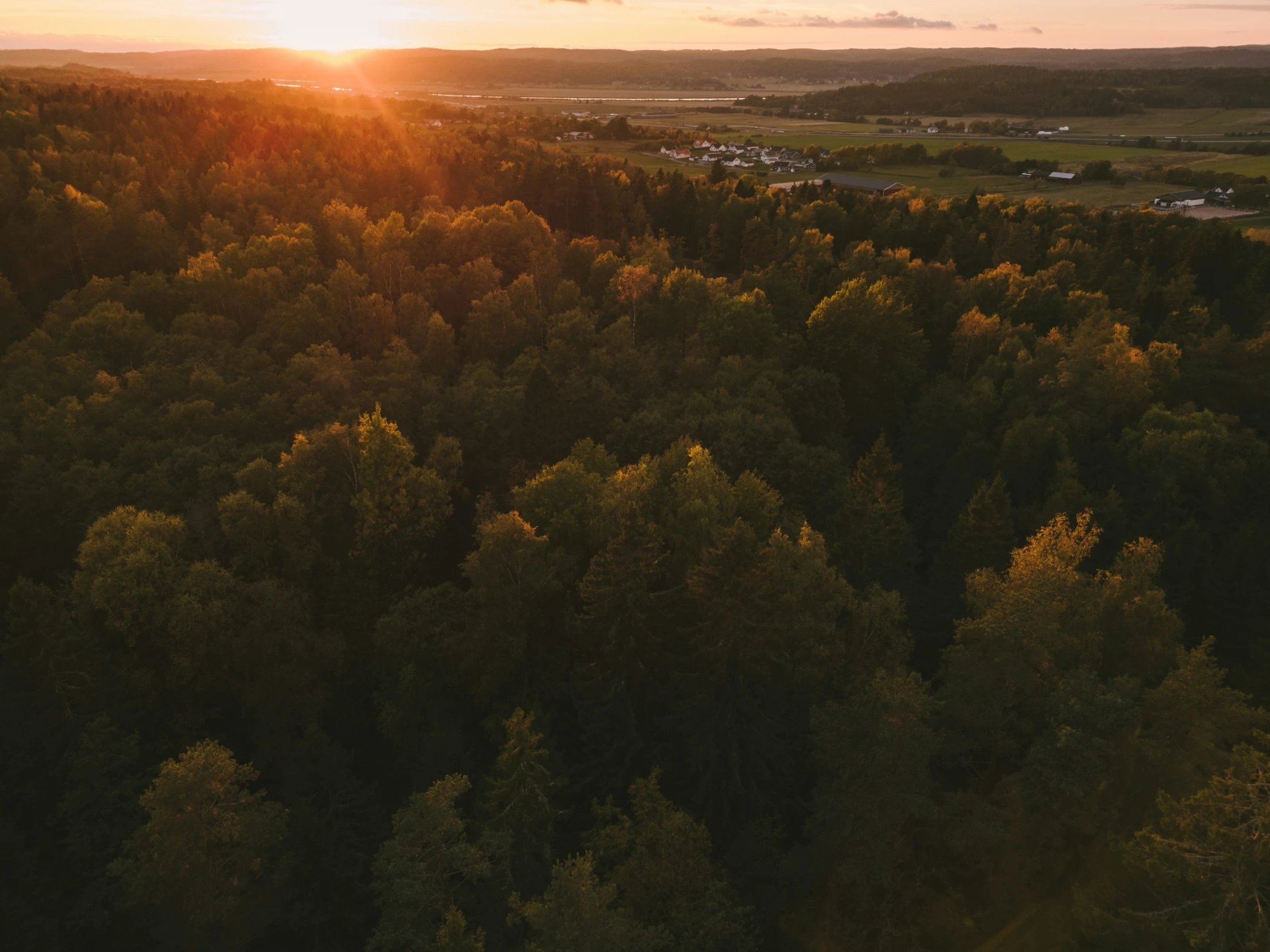 the sun is setting over a forested area