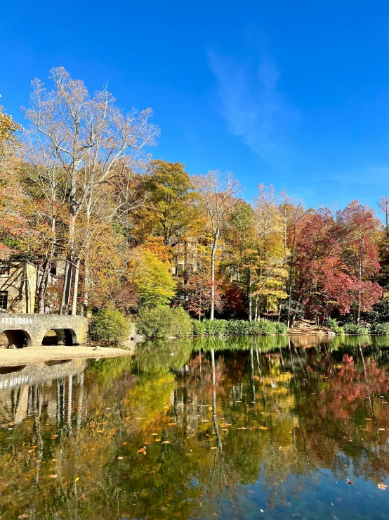 an area filled with lots of different colored trees