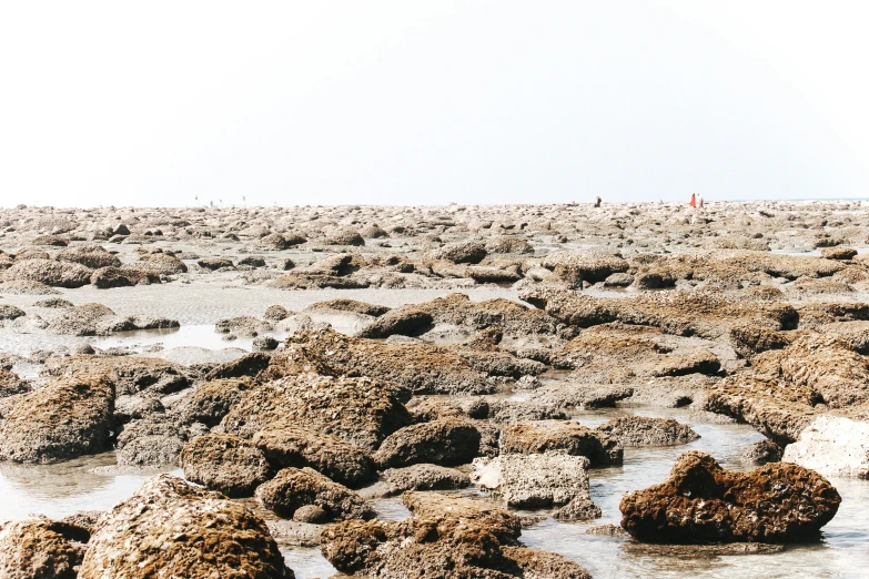 this is a rocky beach with people standing on it