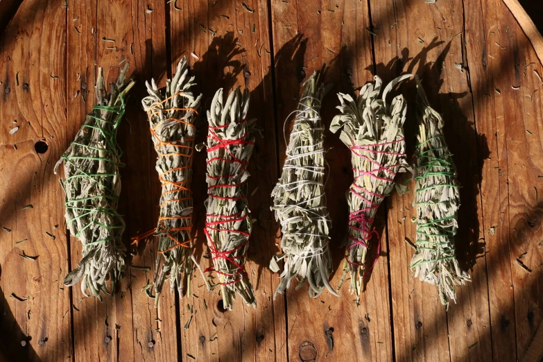 there are different varieties of plants wrapped in string