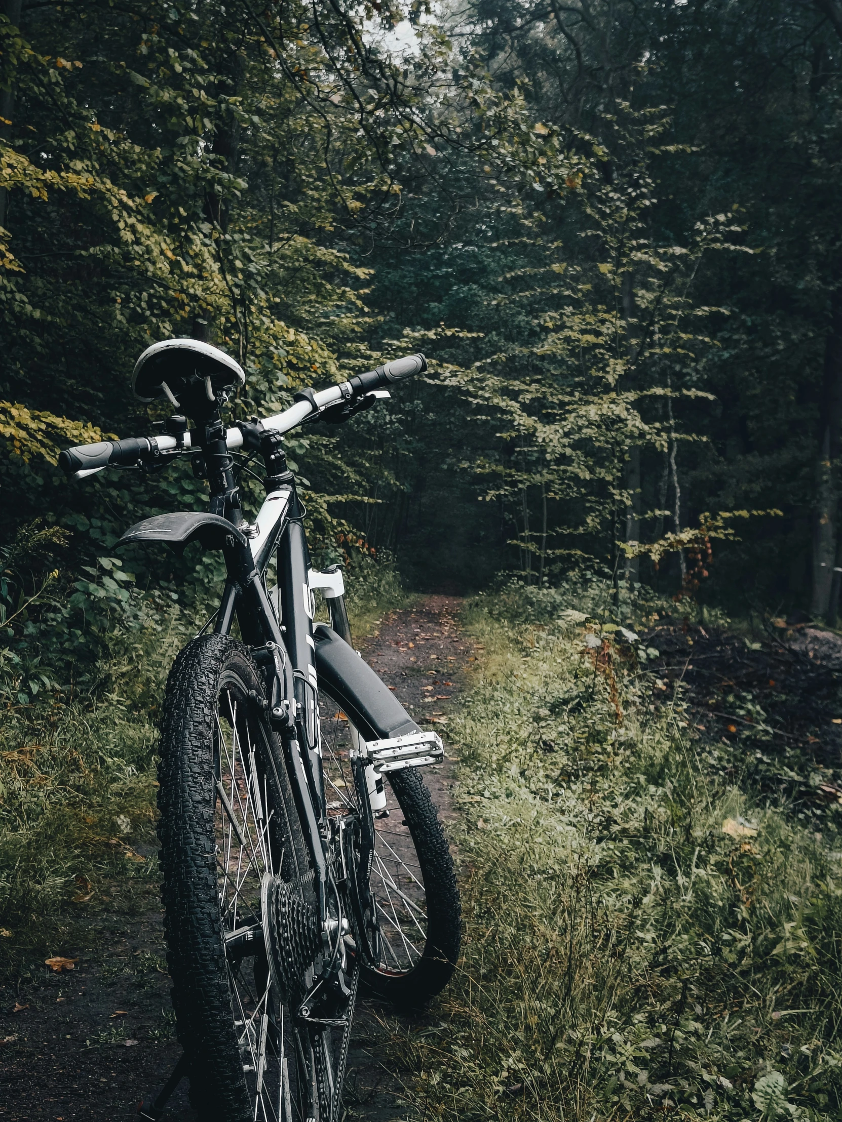 a bike parked in the grass with trees behind