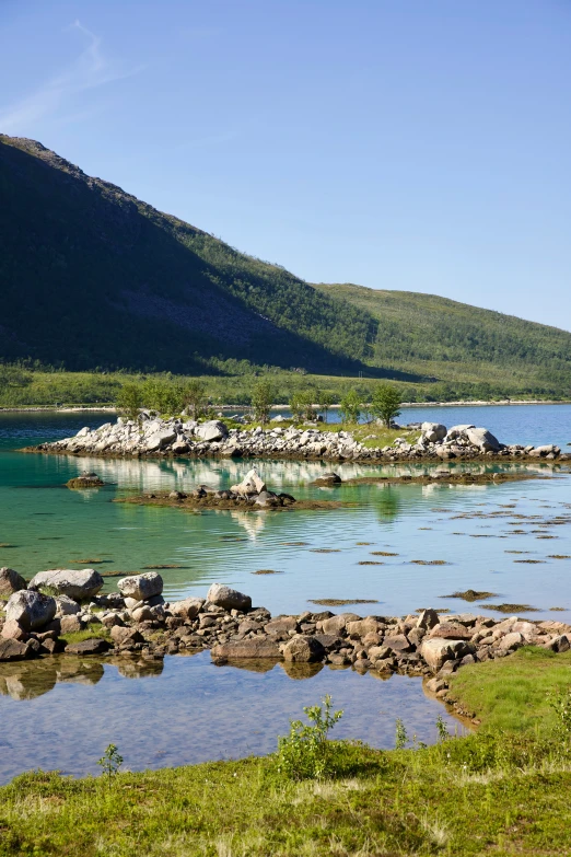 an image of a beautiful rocky shoreline on a sunny day