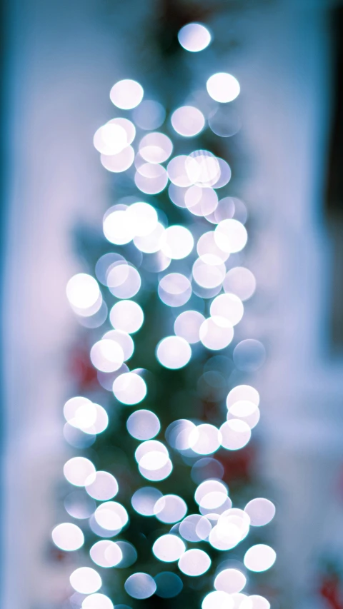 a blurred christmas tree sits on a table