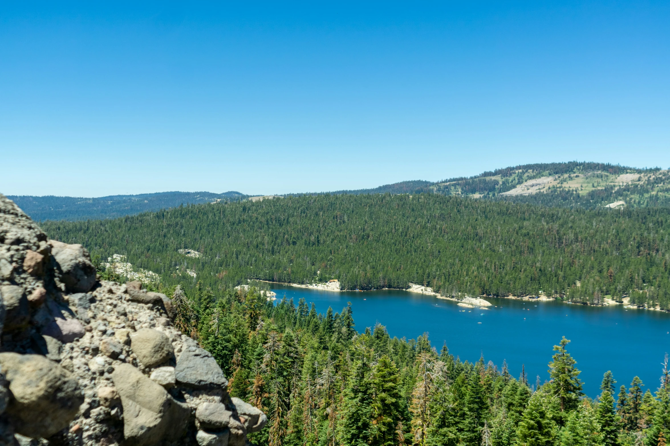 a blue lake surrounded by lots of pine trees