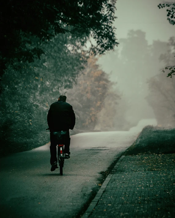 a bicyclist makes his way down a path in the foggy forest