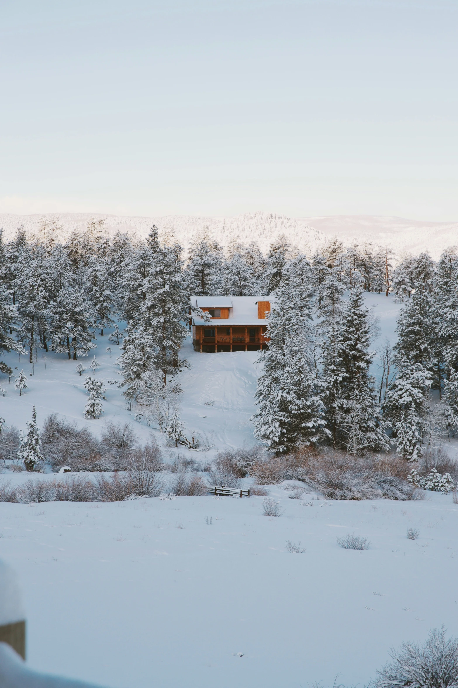 a snow covered hill covered in trees and snow covered ground