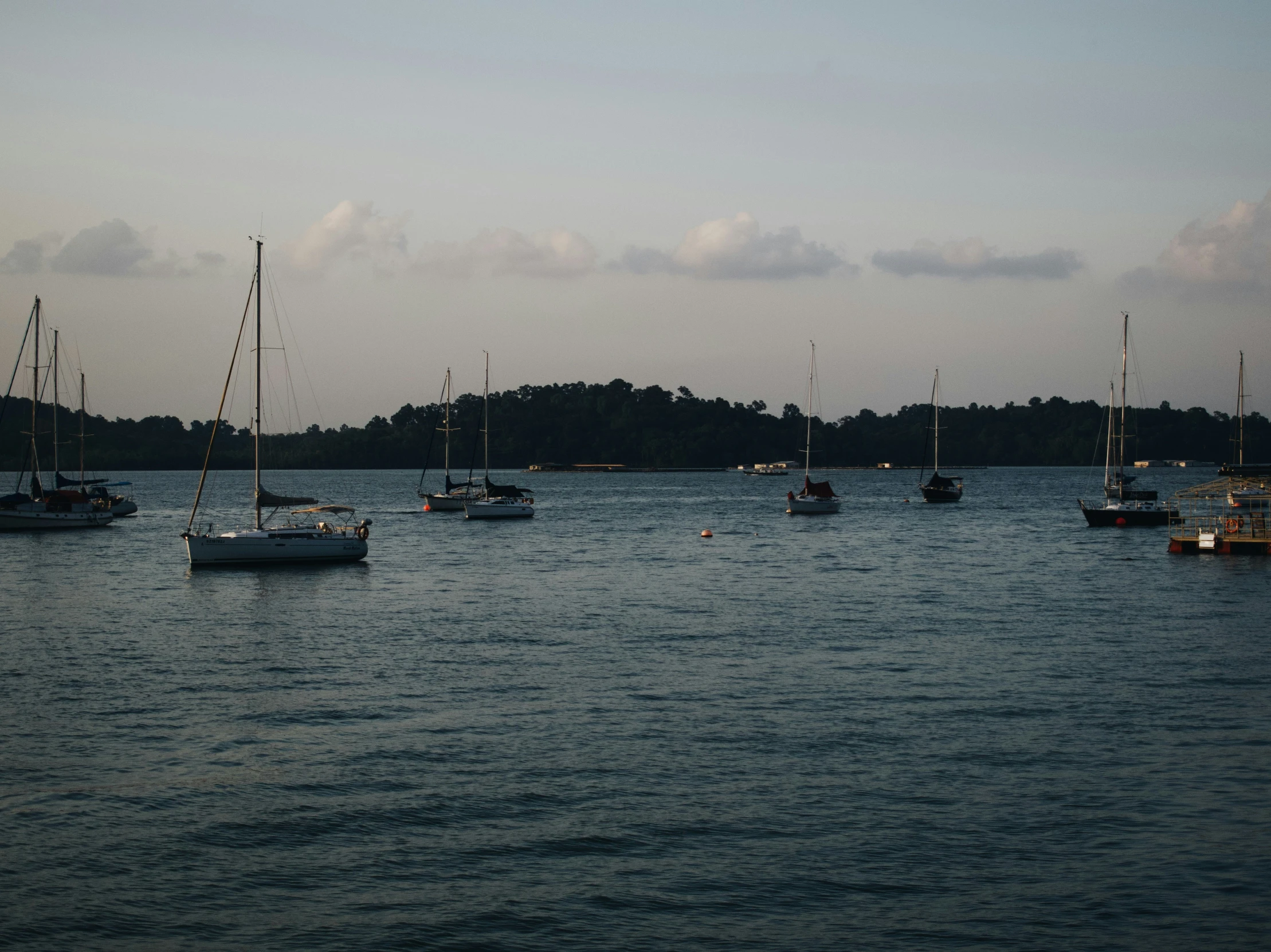 a group of boats are in a body of water