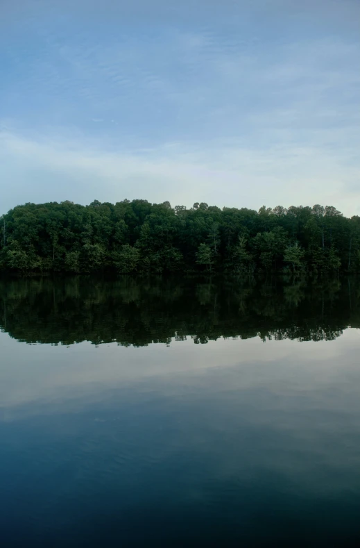 a calm pond reflecting the surrounding trees and sky