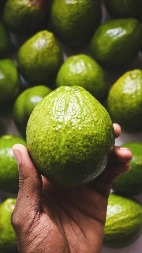 a close up of a person holding an avocado